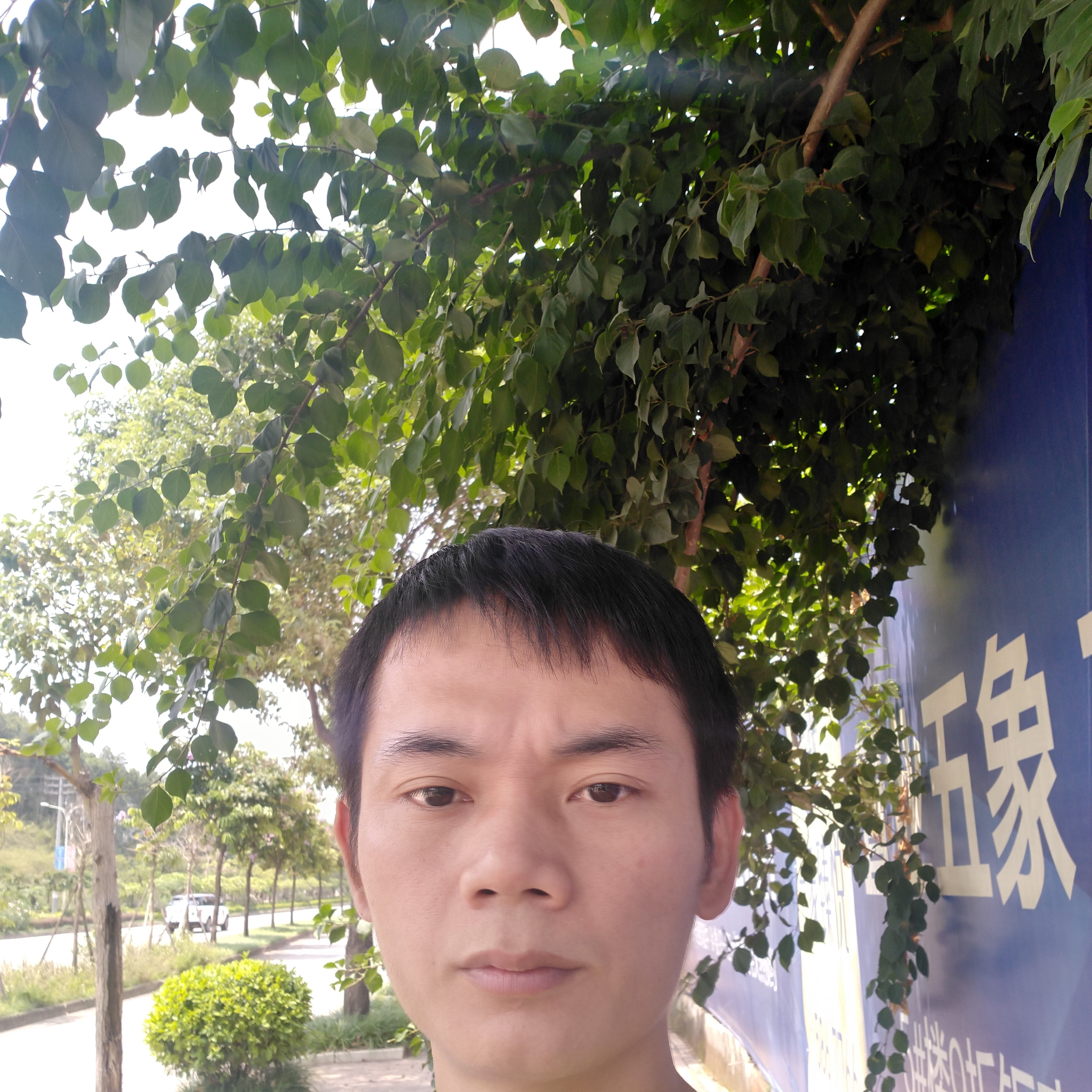 情动改变虚幻的照片