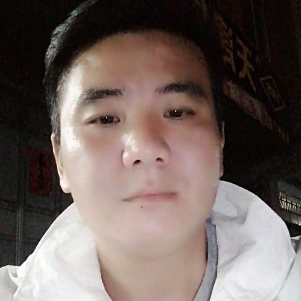 蚂蚁回首典雅的照片