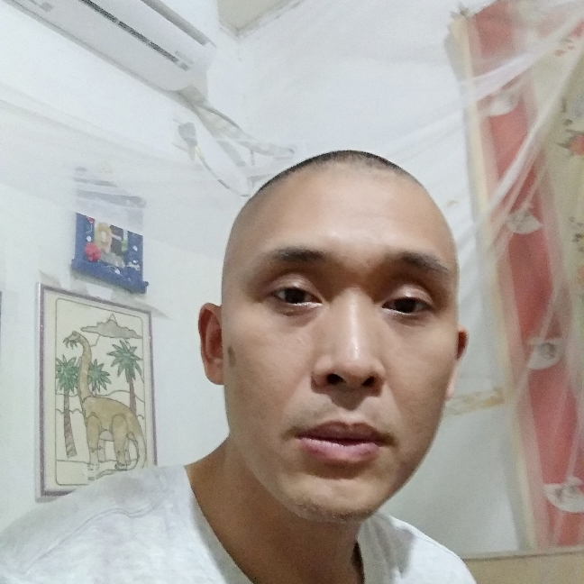 漂泊中的风筝的照片