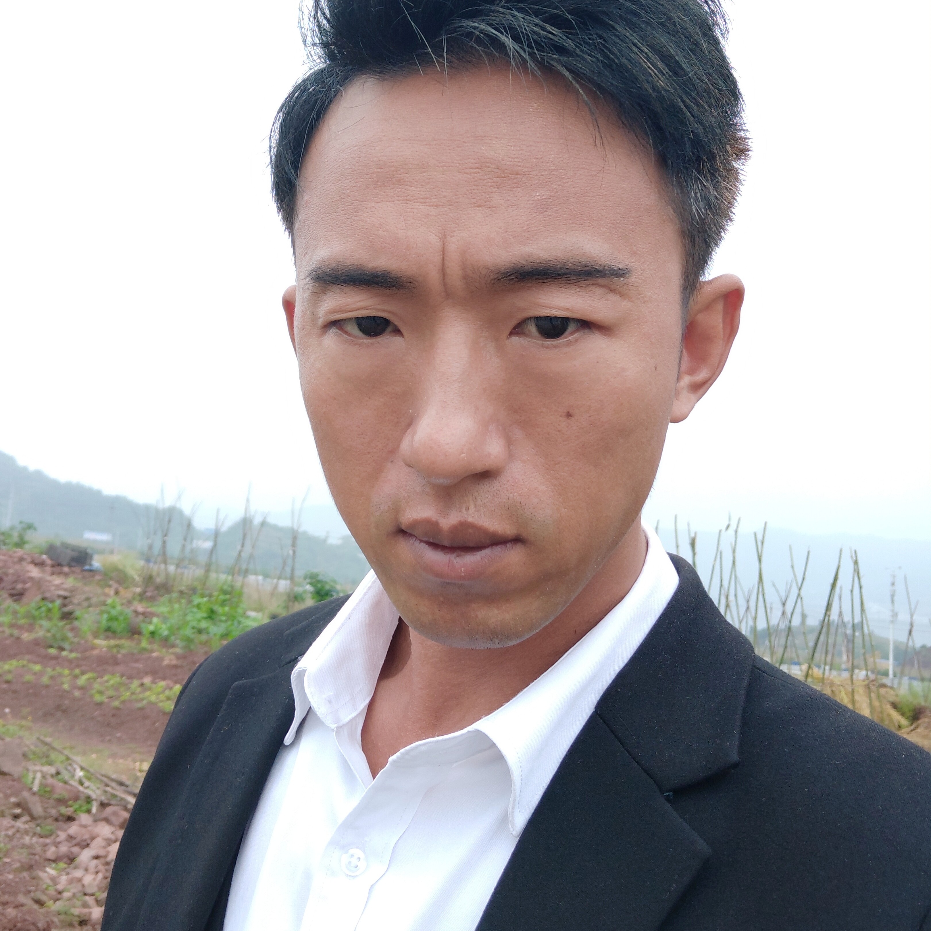 情歌乄王子的照片