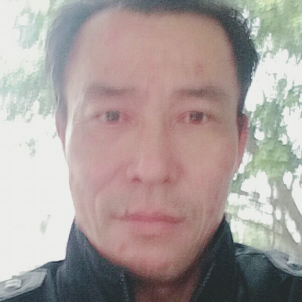 古狼的照片