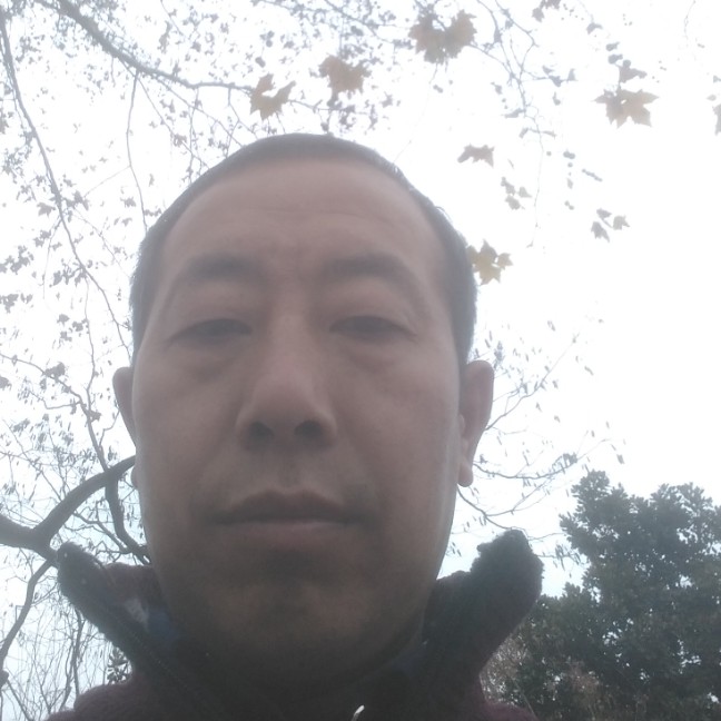 枫叶害怕的照片