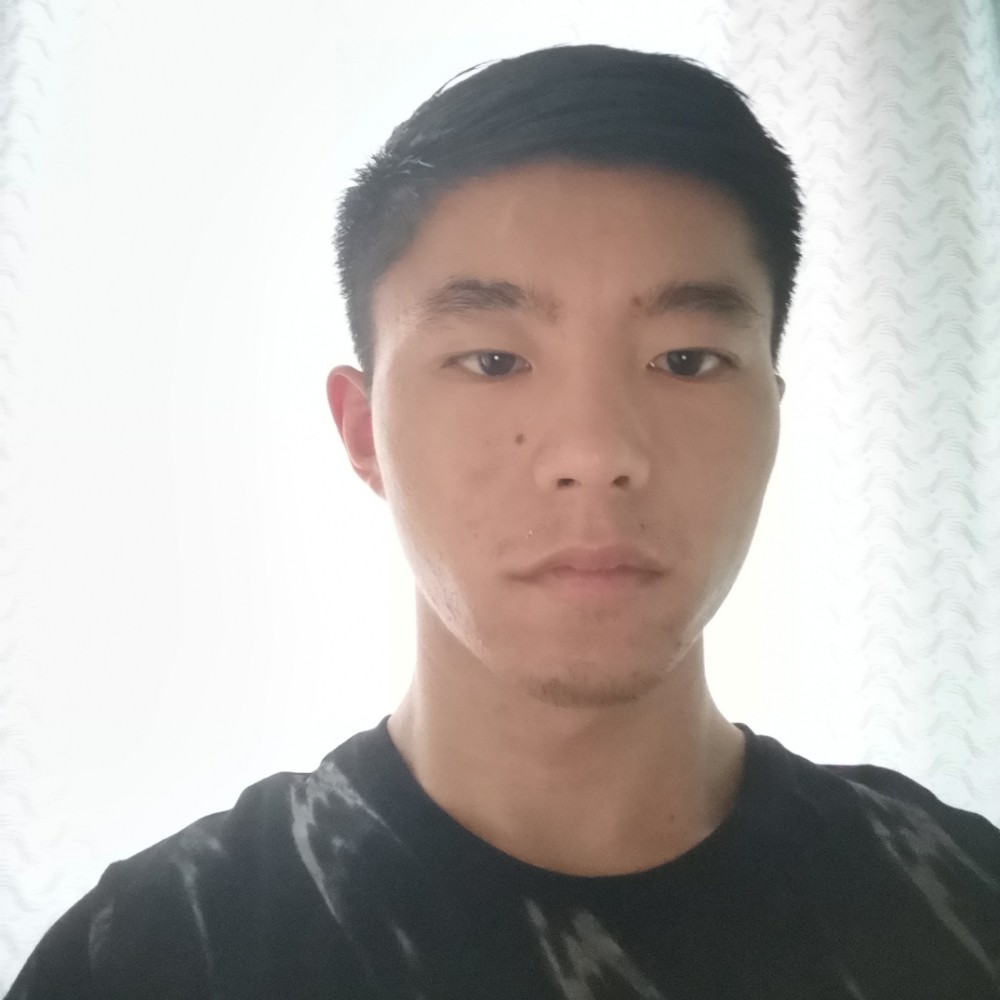 这是狐狸不是驴的照片
