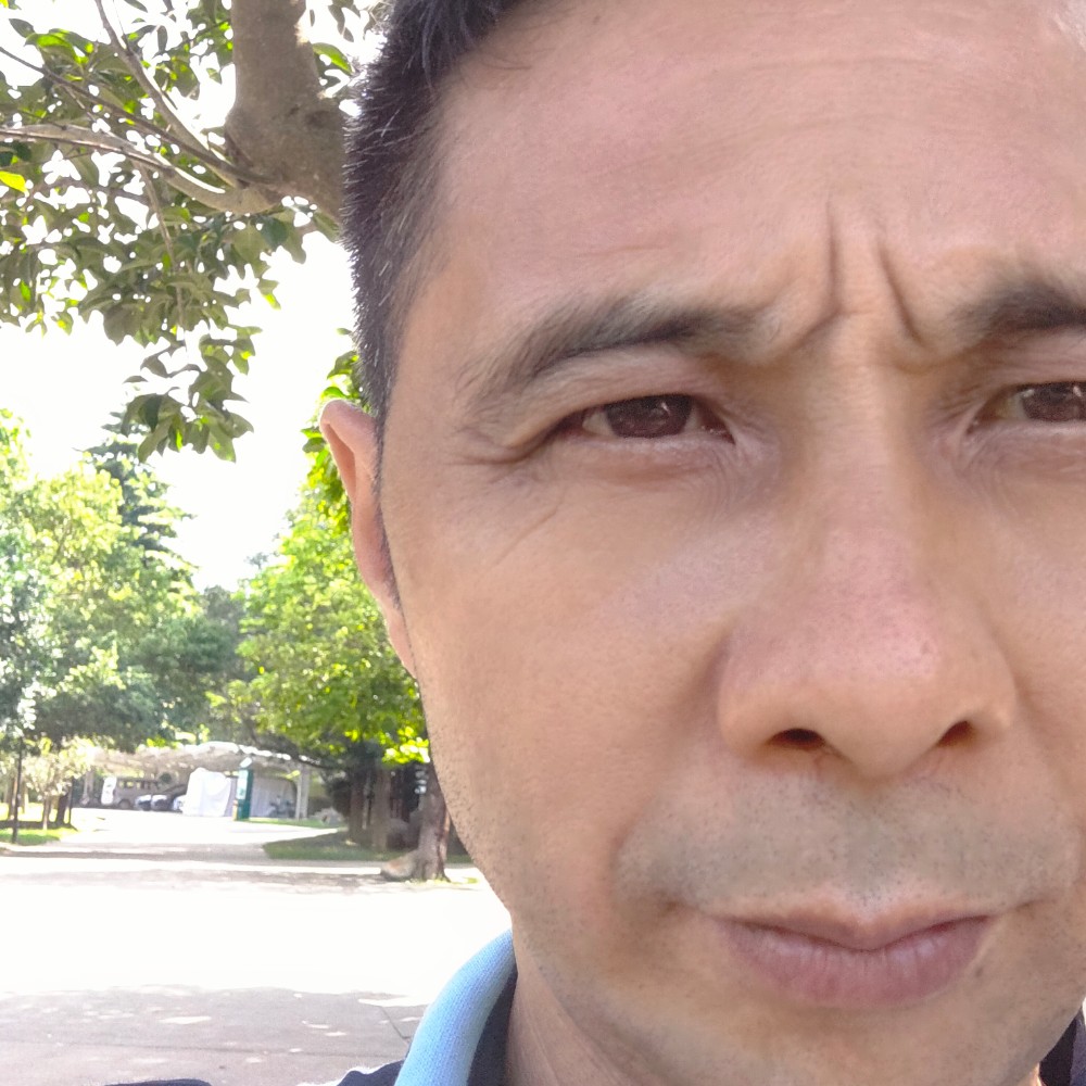 一路风尘，随风而的照片