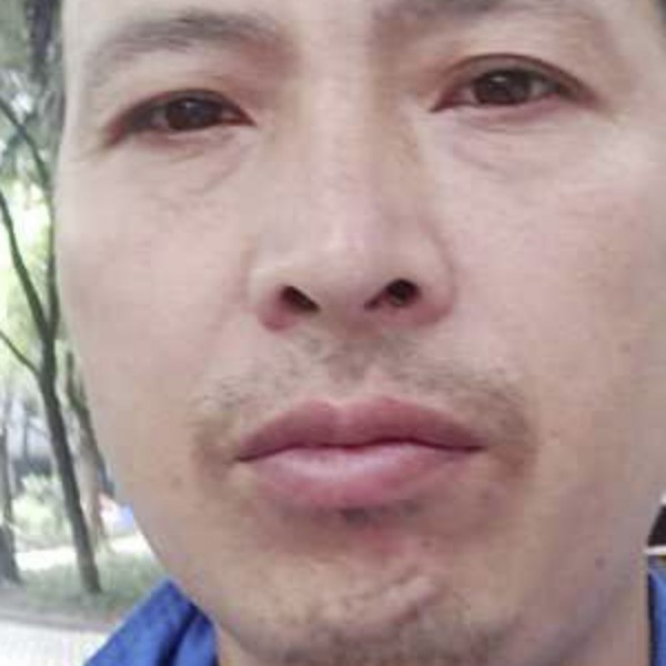 金毛爱恋风中的照片