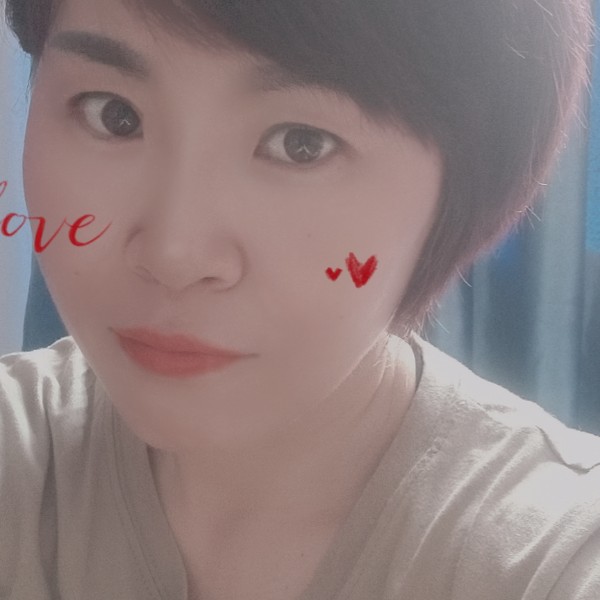 落叶的照片
