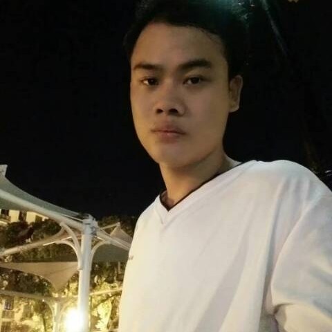 小海豚泪了顺利的照片