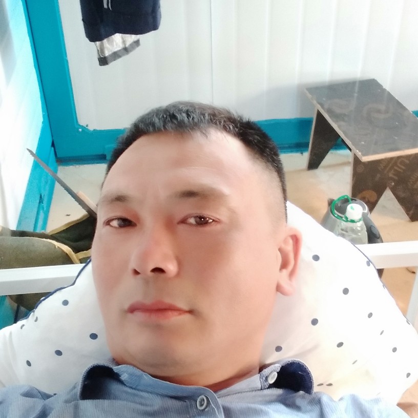 大树回首眼睛大的照片