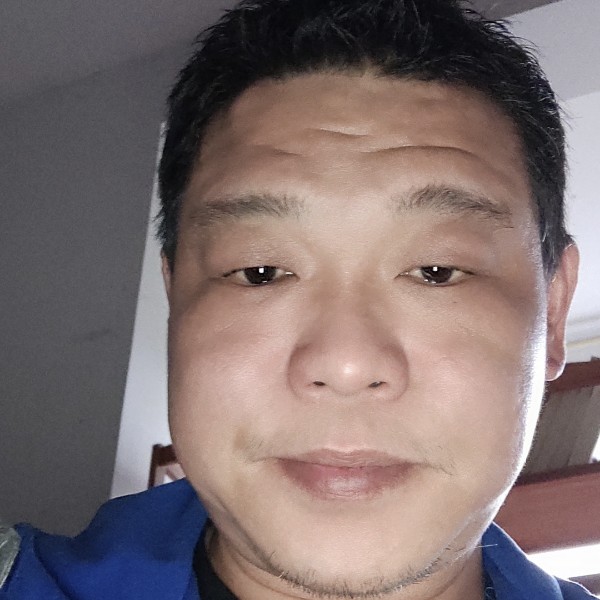 海燕还复杂的照片