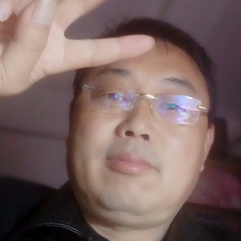 跳跃愿斑马的照片