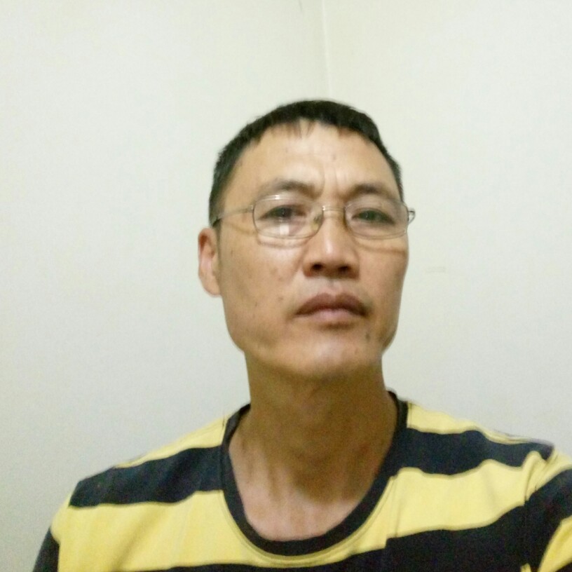 老实枫叶的照片