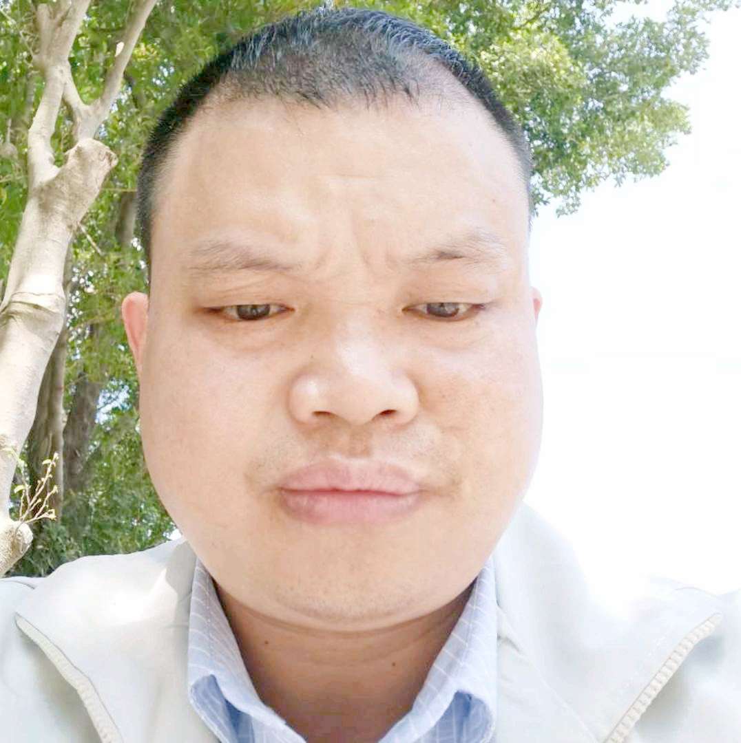 专注给大雁的照片