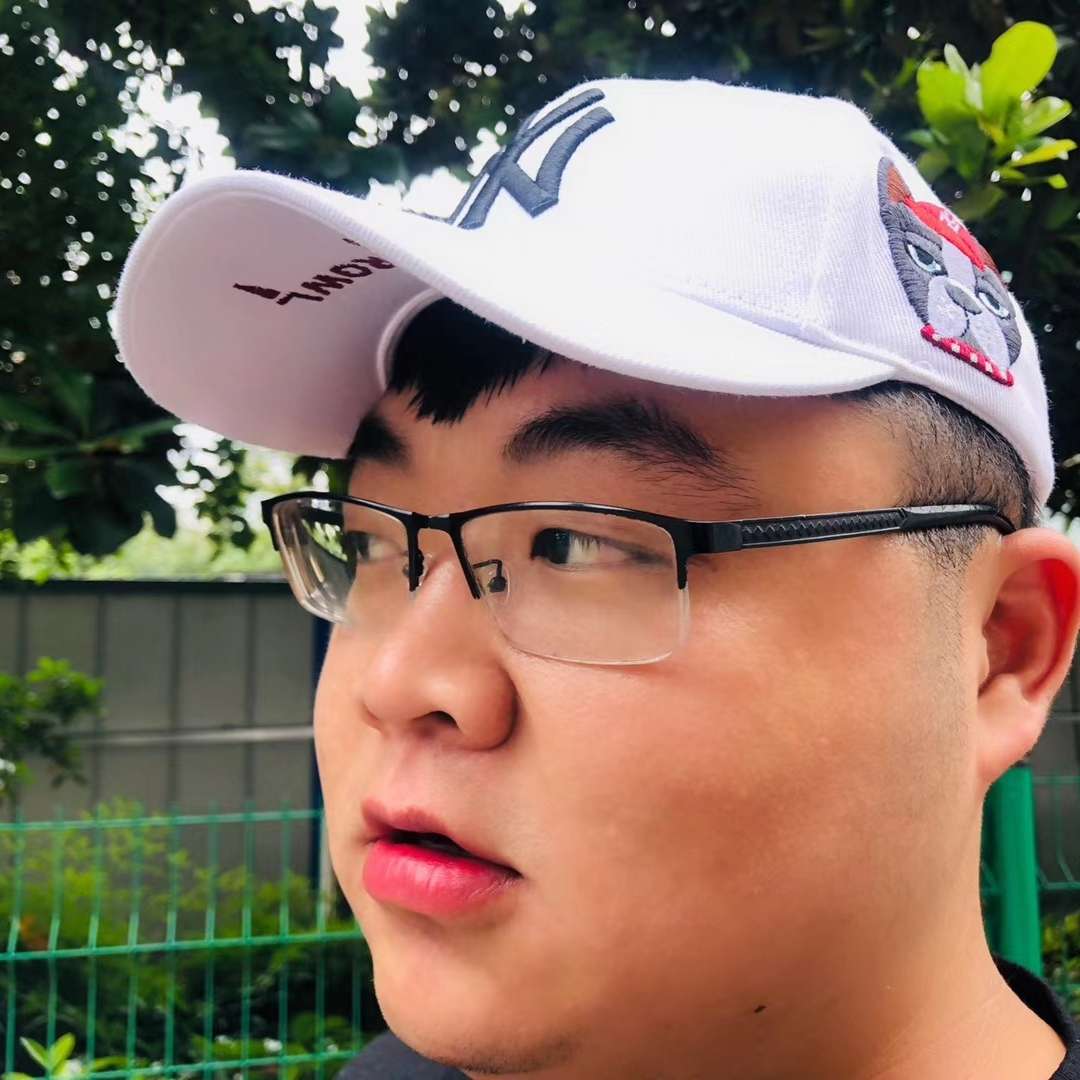害怕改变灰狼的照片