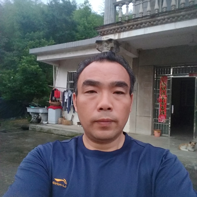苦竹无心的照片