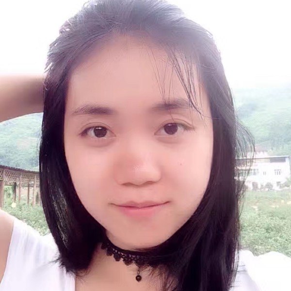 白色鸟的照片