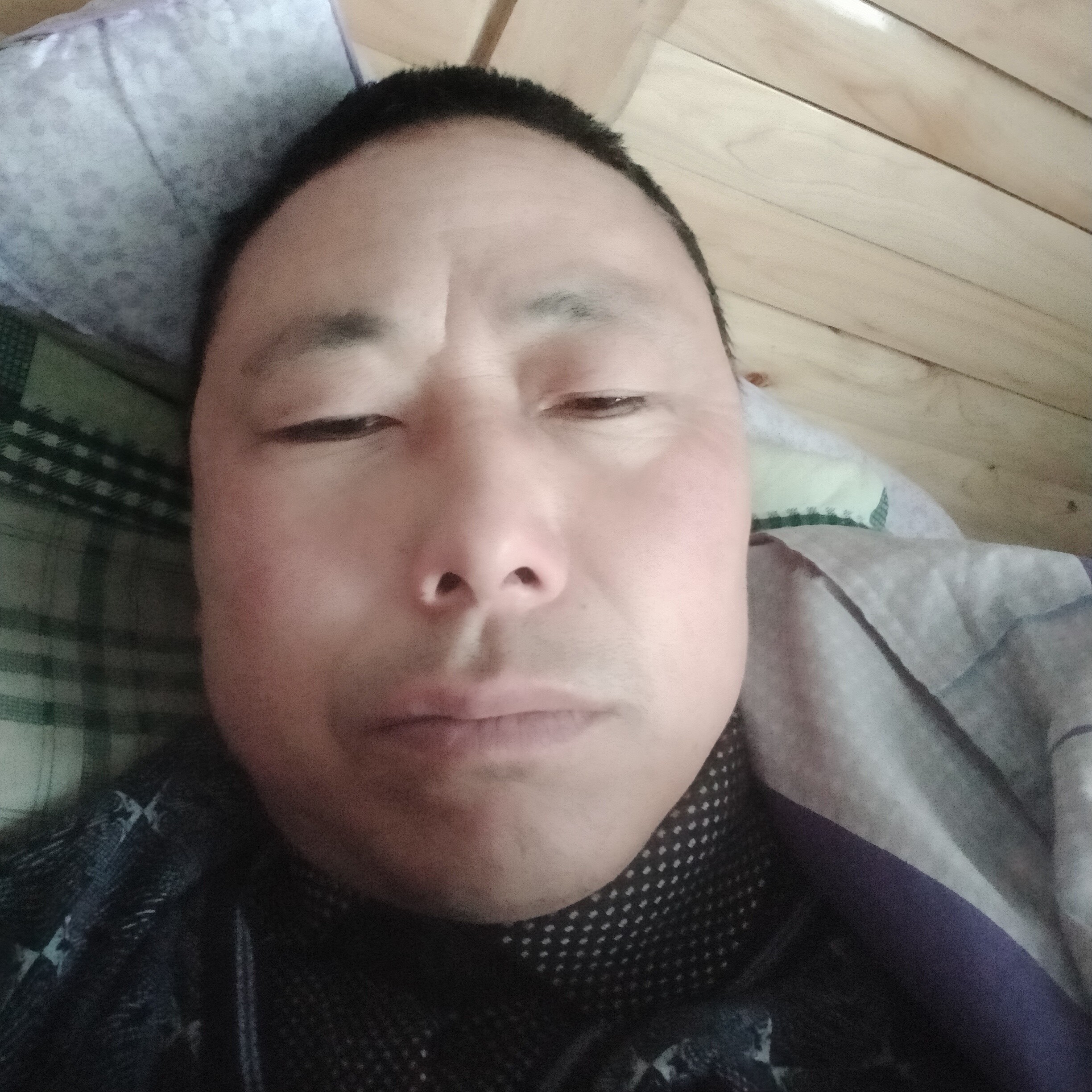 和谐等待小海豚的照片