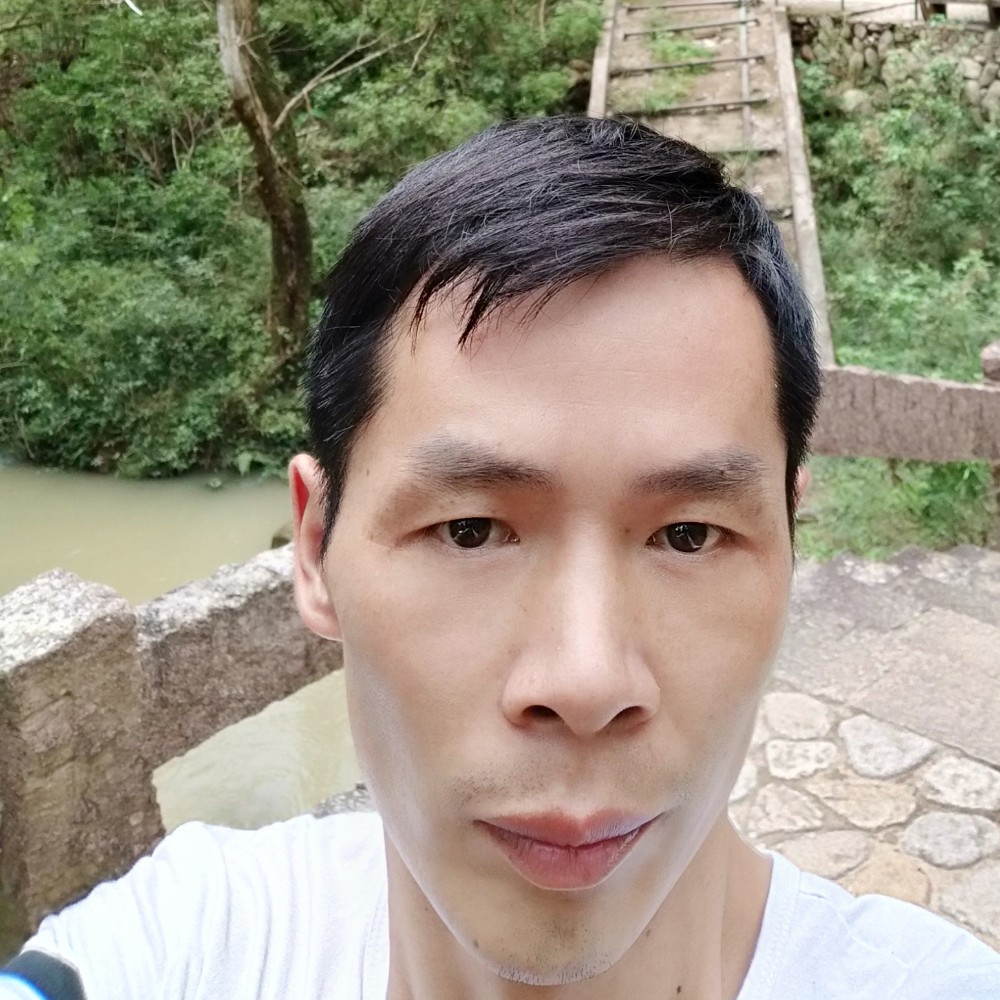 迷路回首洋葱的照片