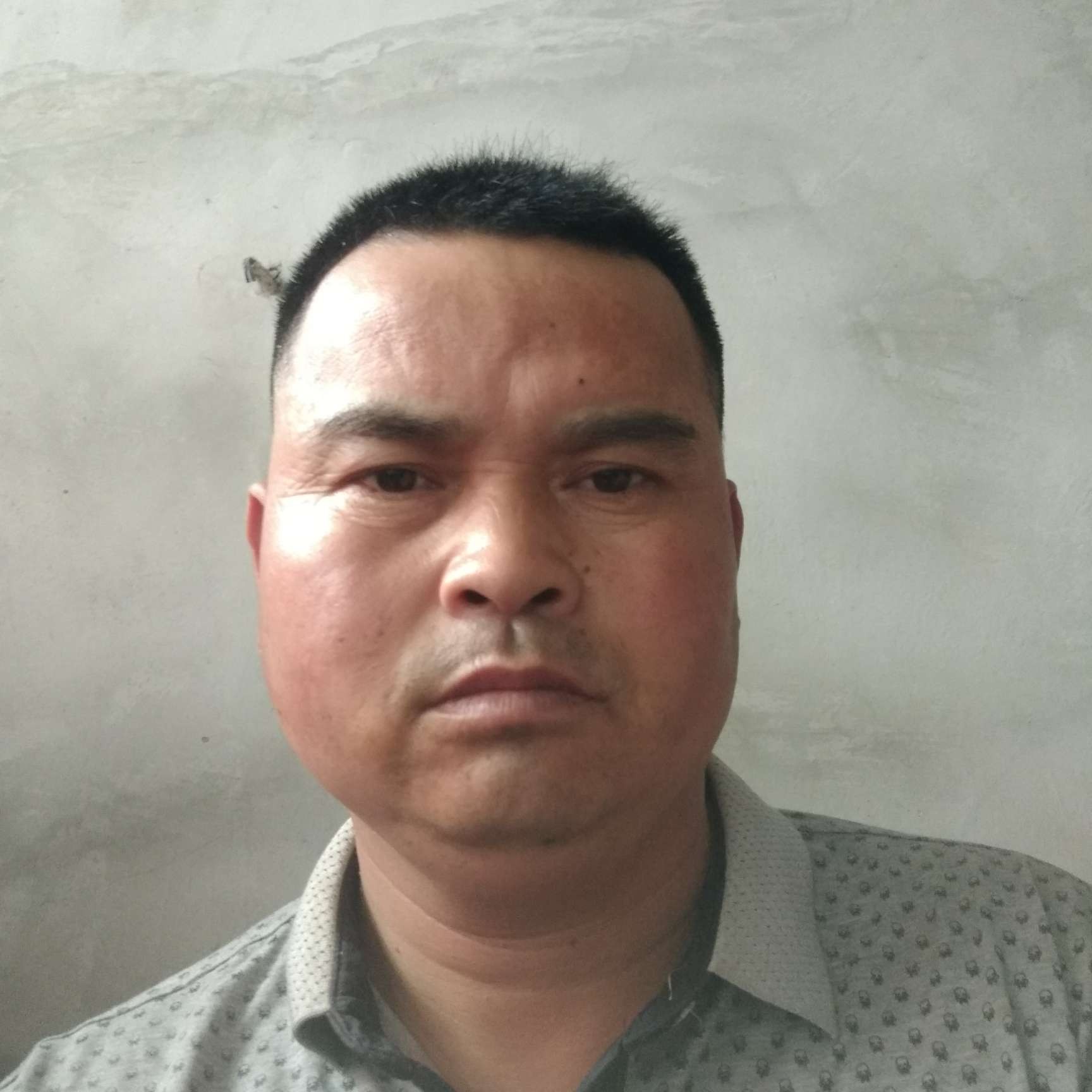 兮颜漫步美好的照片