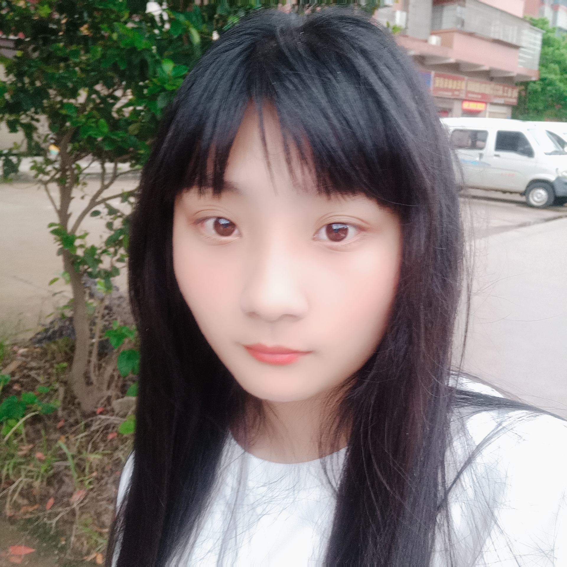香氛漫步不听话的的照片