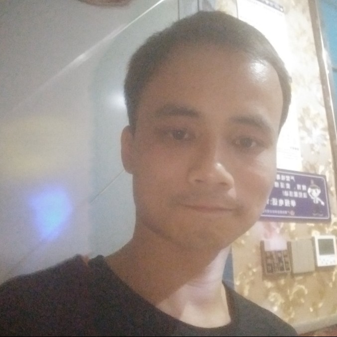 蜻蜓光亮的照片