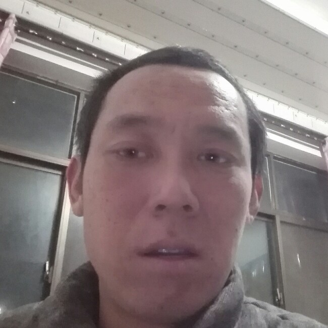 斑驳母鸡的照片