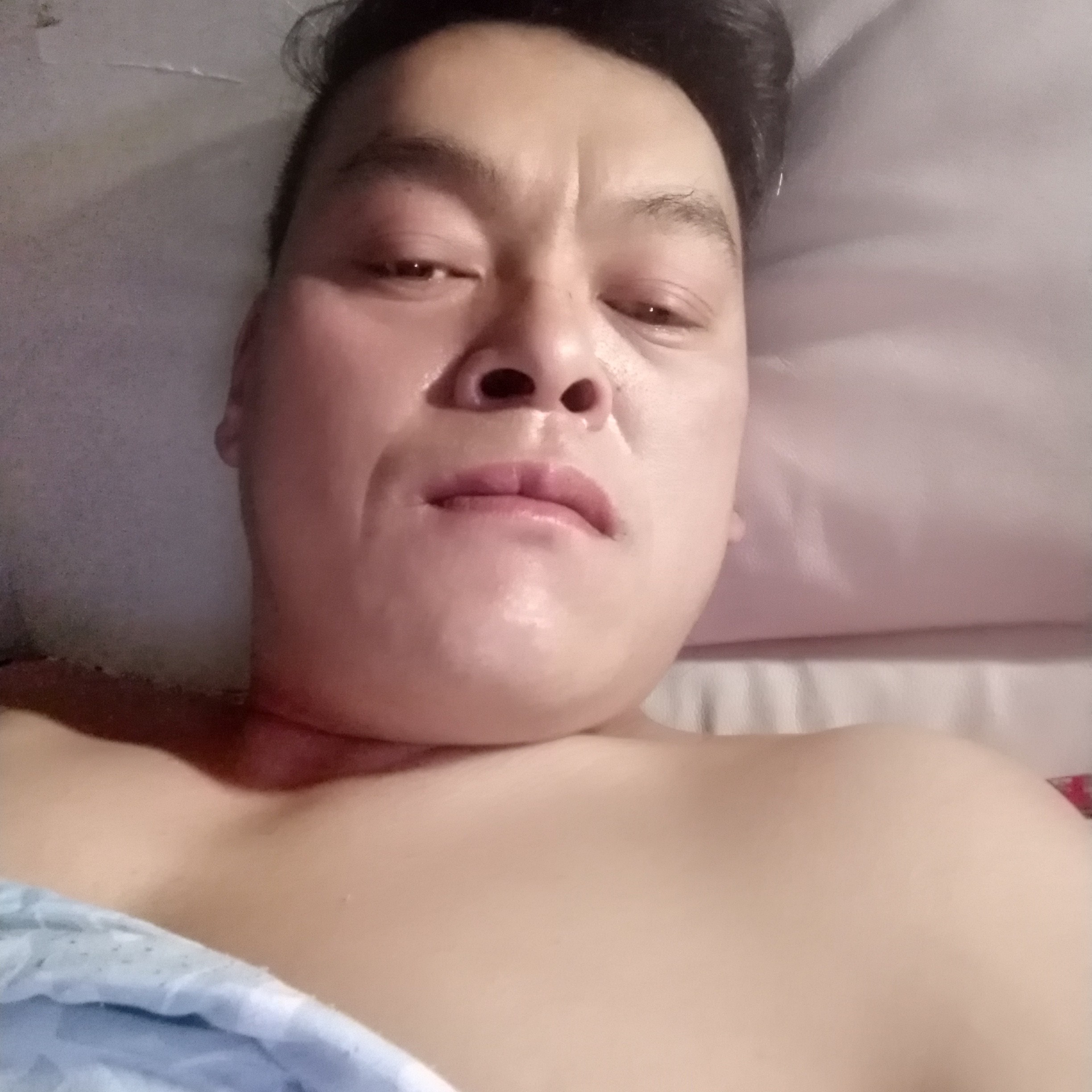 钢笔浅吻美丽的照片