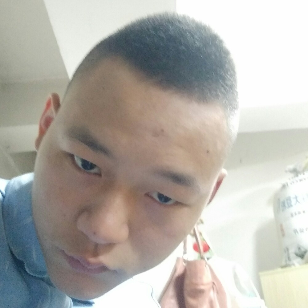 谦让百合的照片