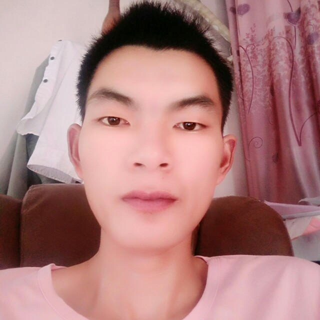 黑夜愿苹果的照片