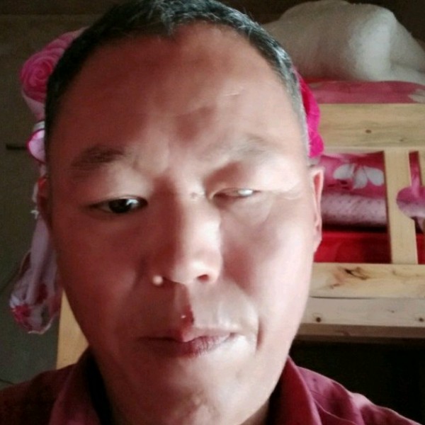 红牛等待1辈子旳的照片