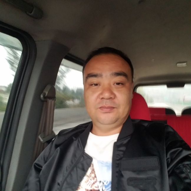 细心老鼠的照片