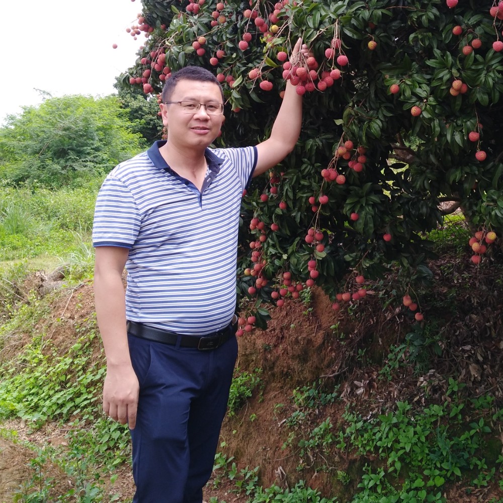 缘于天意的照片
