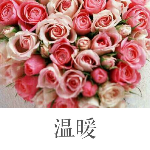 张杰锋的照片