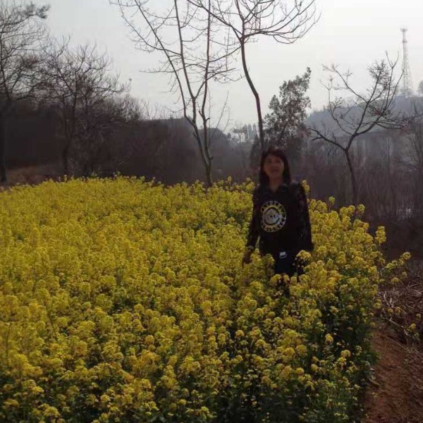 anne001的照片