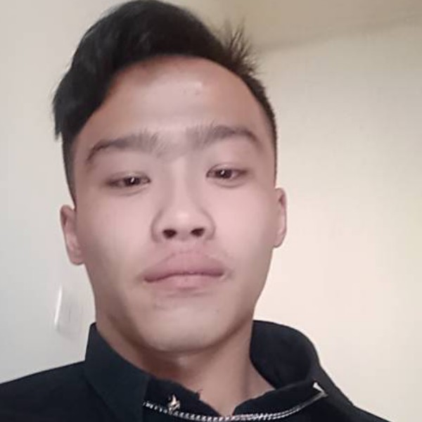 含羞草放弃寂寞的照片