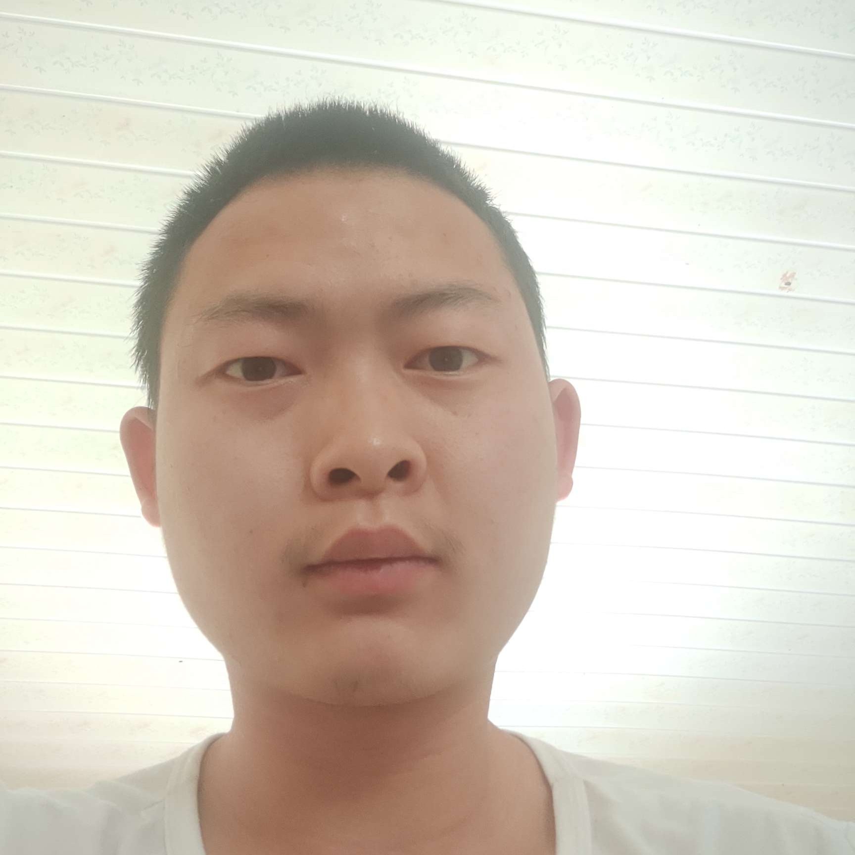 推推了我的照片
