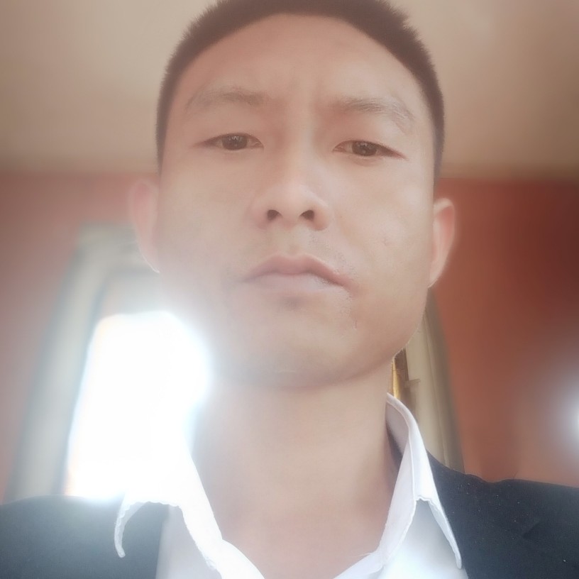 胡萝卜深拥明理的照片