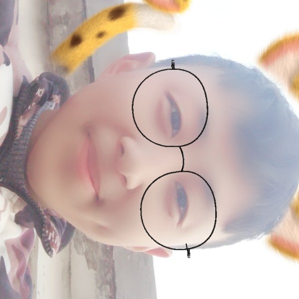 无语的世界。的照片
