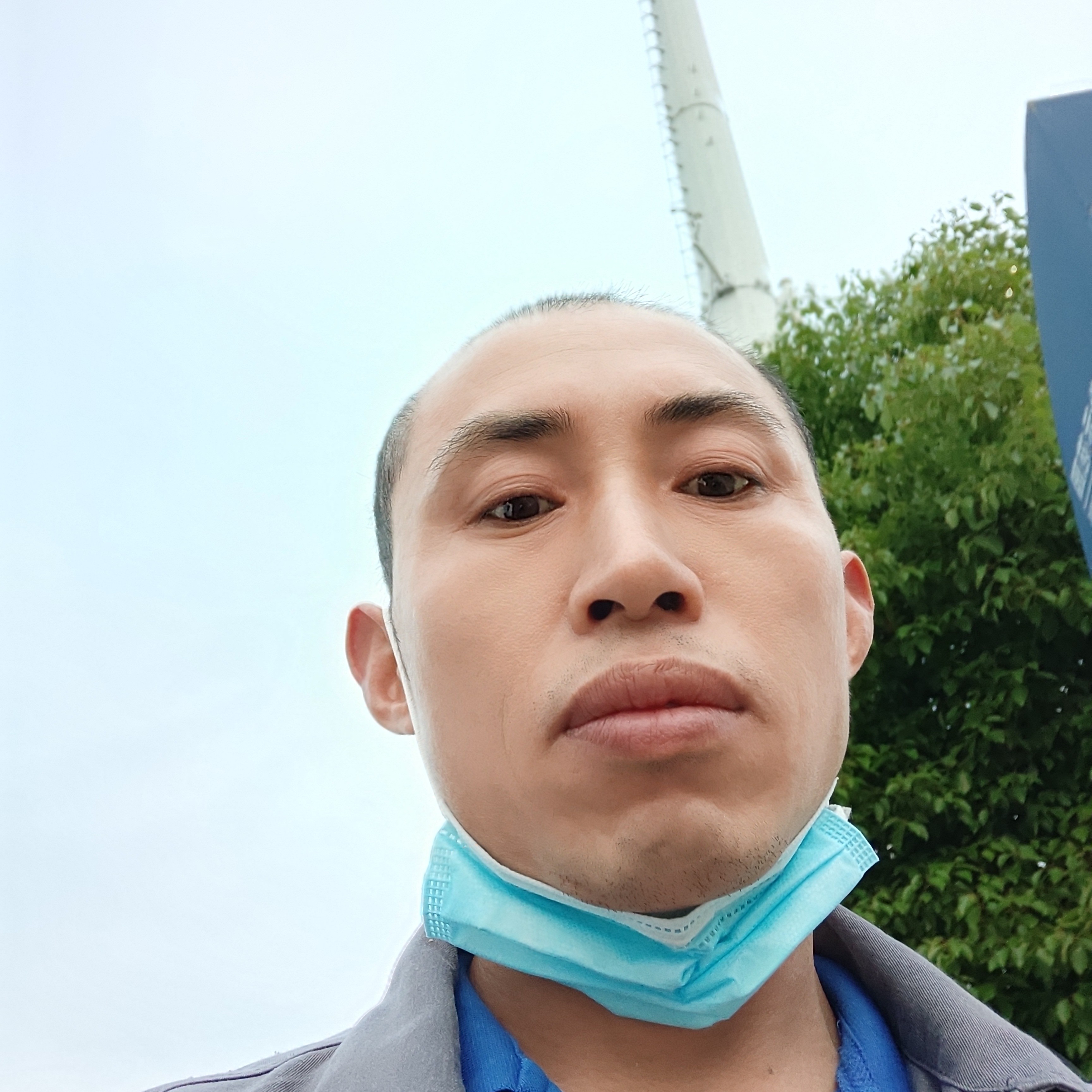 无语泪了老鼠的照片