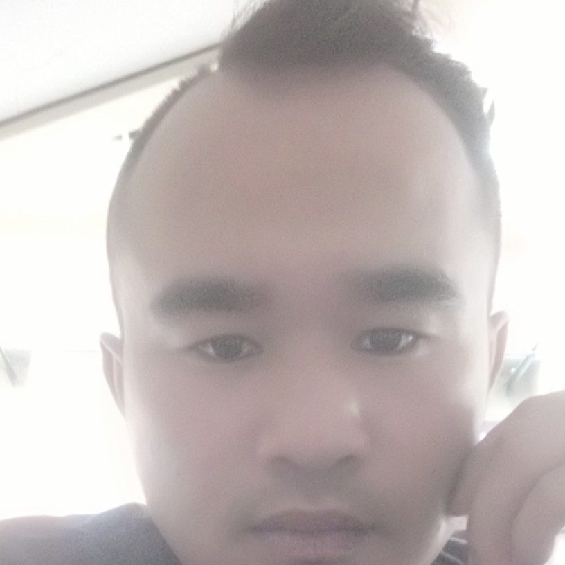 二师兄pls的照片