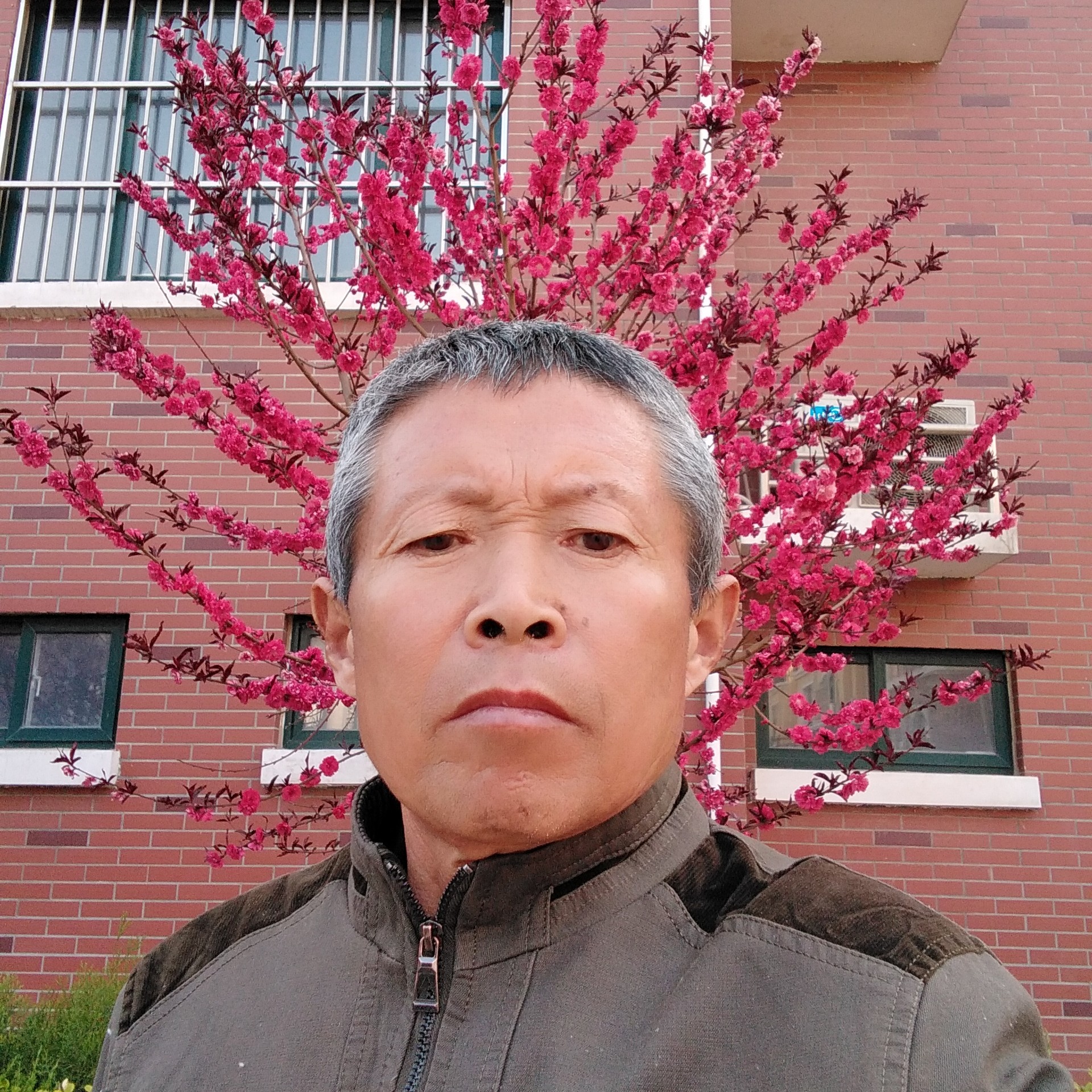 红尘与淡然的照片