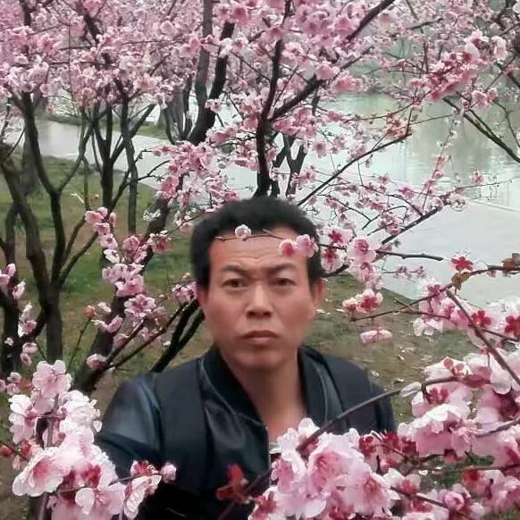 健忘八宝粥的照片