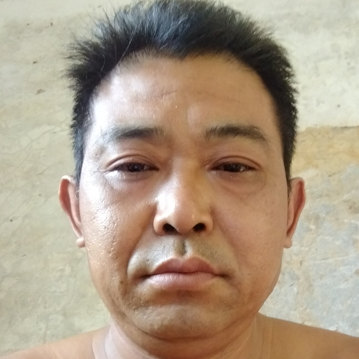 慈祥笑玫瑰的照片
