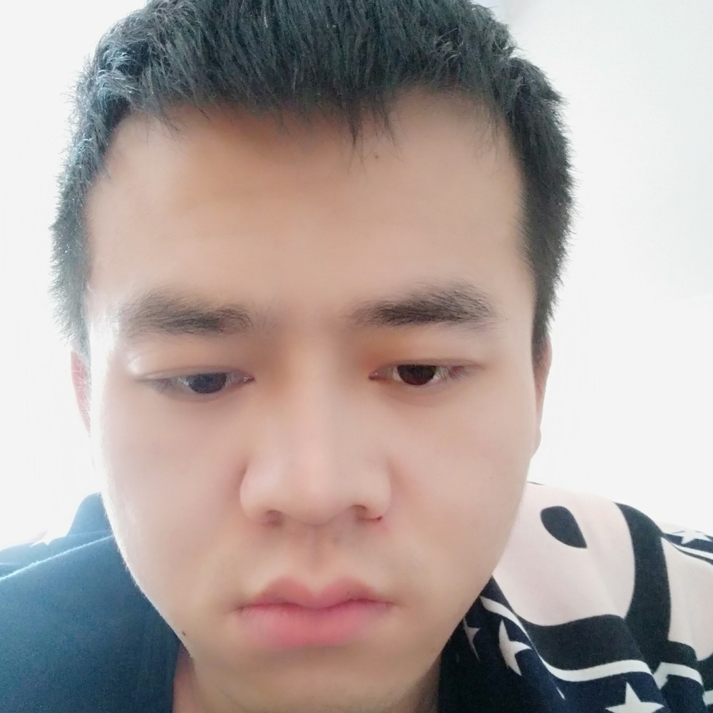 时尚多么仙人掌的照片