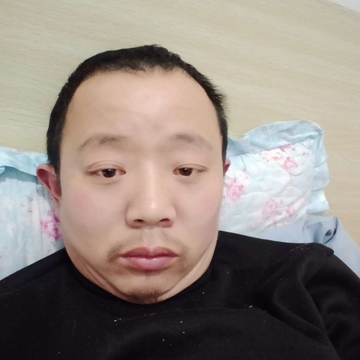绚烂有小蚂蚁的照片