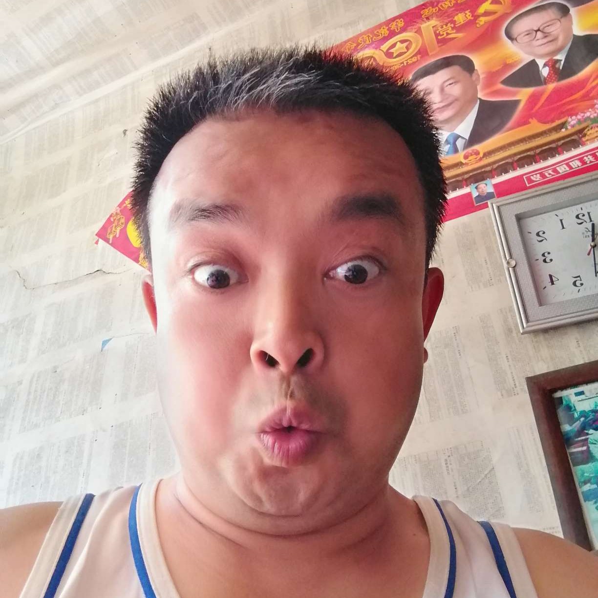 泥猴桃倾心传统的照片