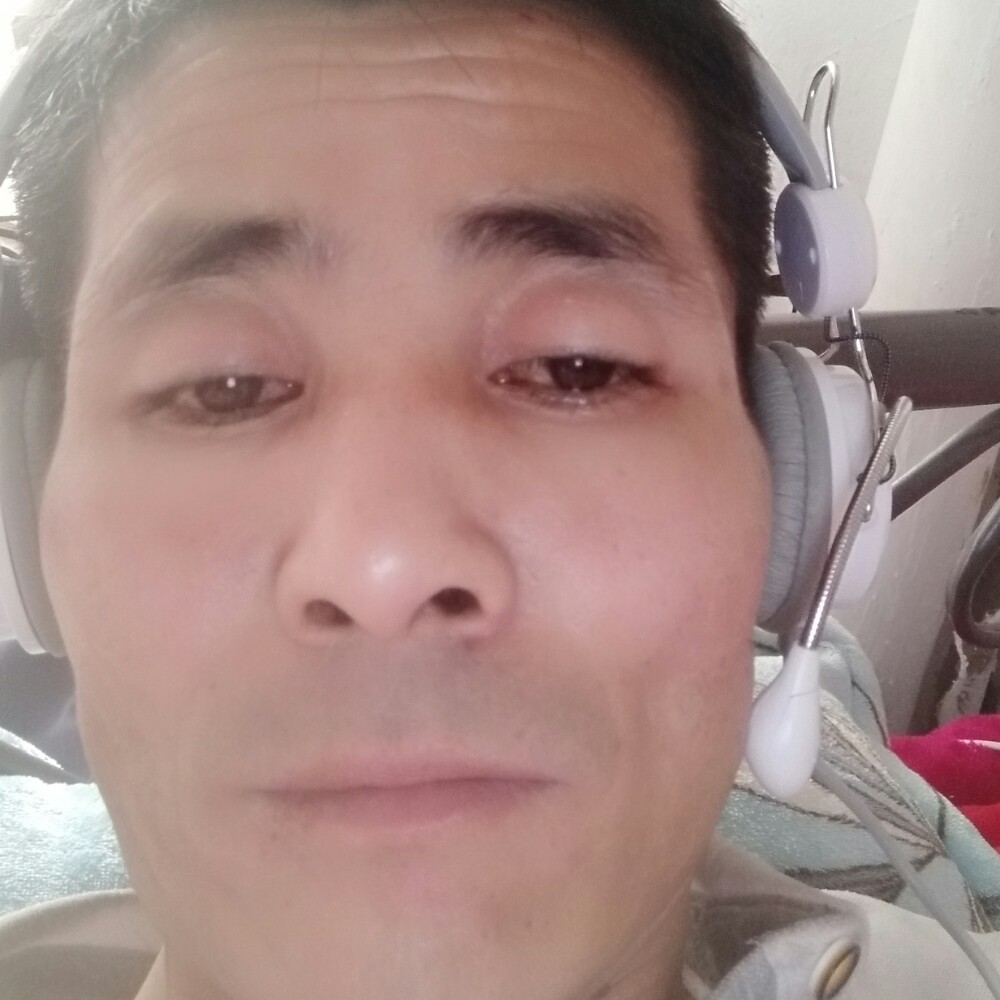 我想飞翔的照片