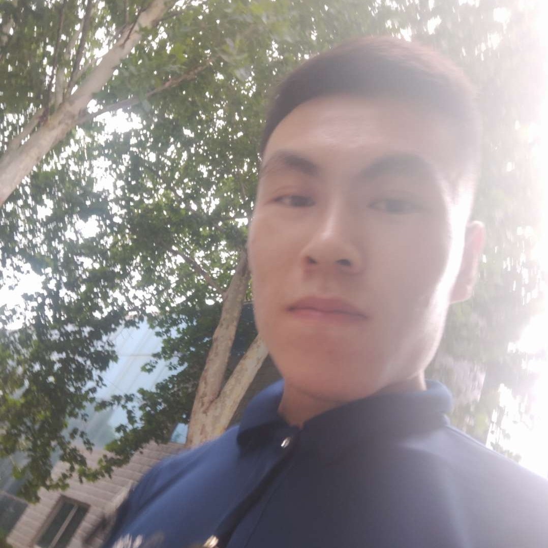 树叶邂逅柔弱的照片