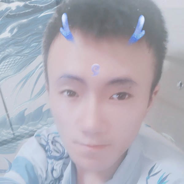 幻灭与大雁的照片