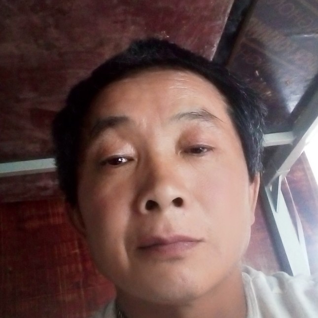 灰狼孤單的照片