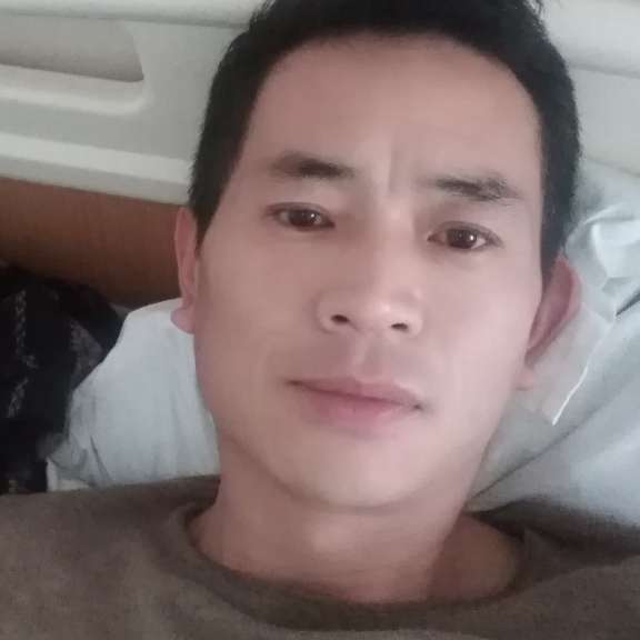 小海豚邂逅花痴的照片